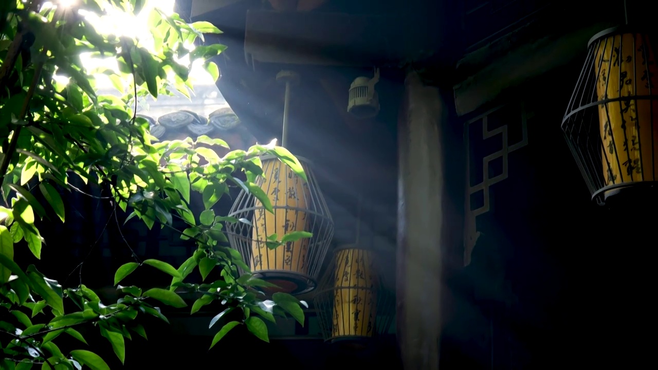 中式风格的古建筑园林成都武侯祠杜甫草堂中式园林视频下载