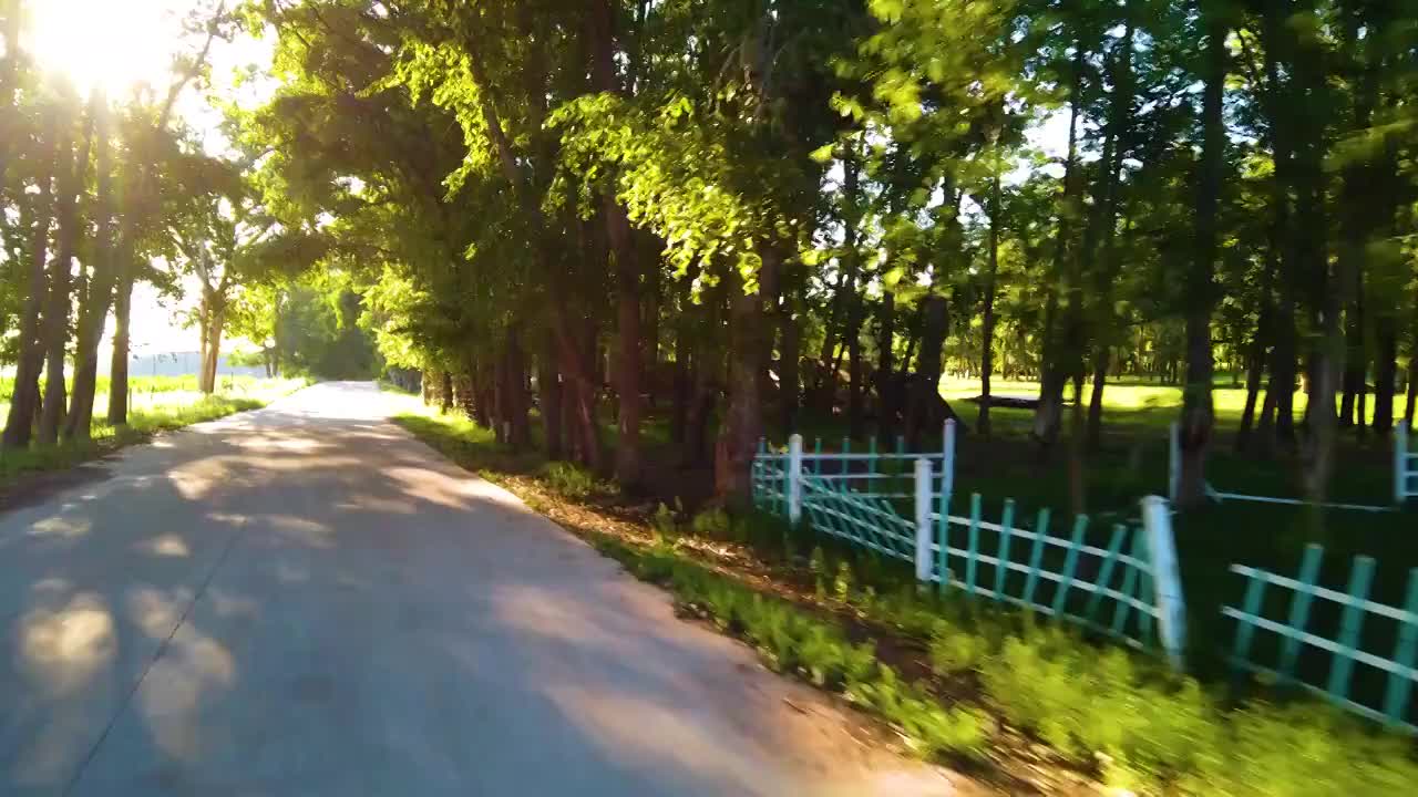 快速行驶在草原天路林间的公路上视频下载
