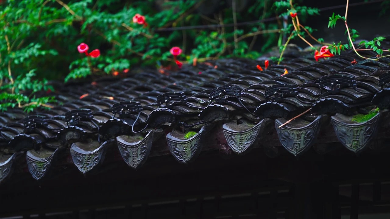 雨中南京瞻园 白天夜景 中国文化 传统 中式建筑 园林 公园 下雨 雨滴视频下载