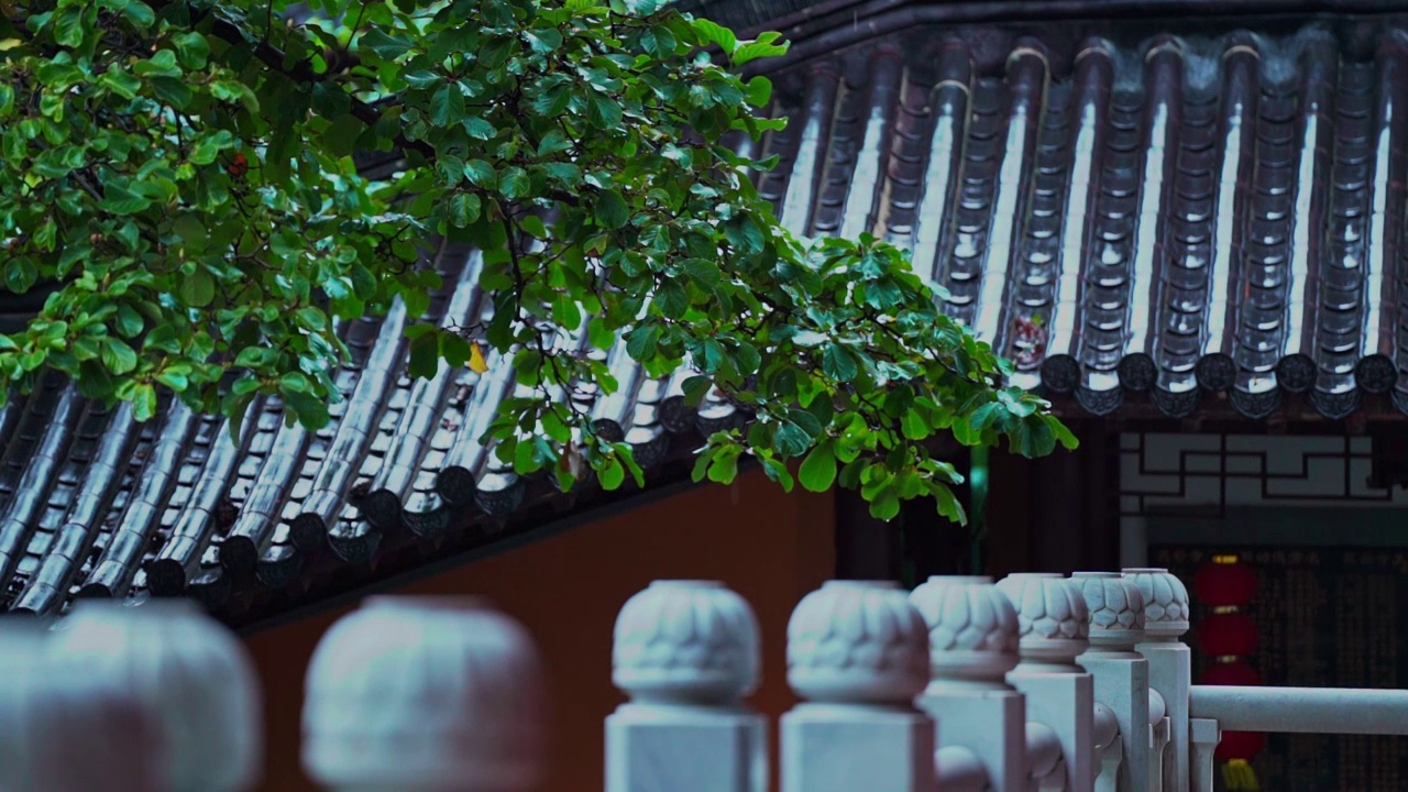 雨中寺庙 蜡烛 猫 灯笼 下雨视频素材