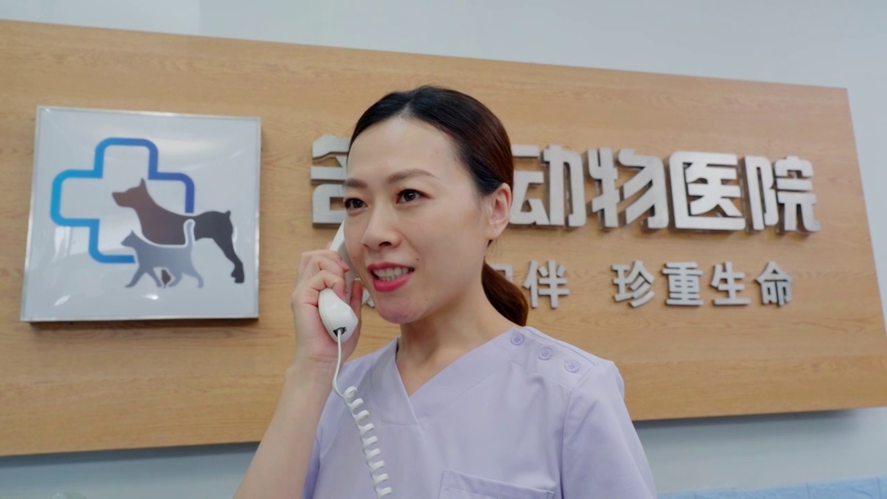 宠物医院的护士接听电话视频下载