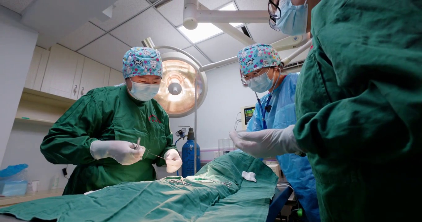 宠物医生在手术室进行手术视频素材