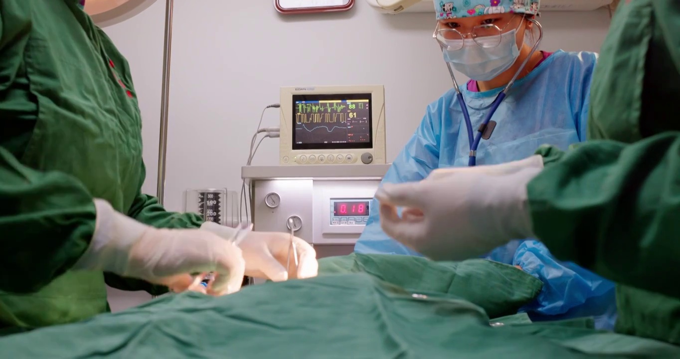 宠物医生在手术室进行手术视频素材