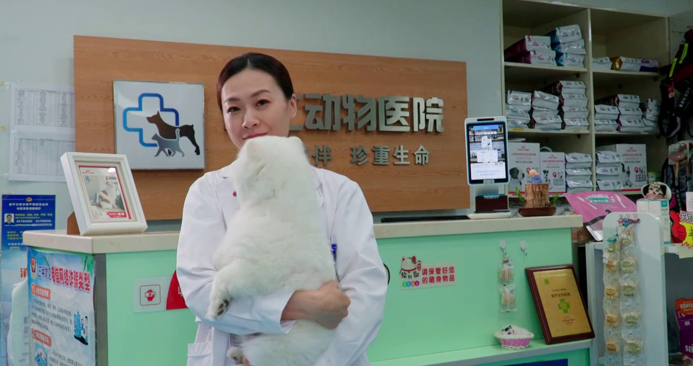 宠物医生抱着小狗视频下载