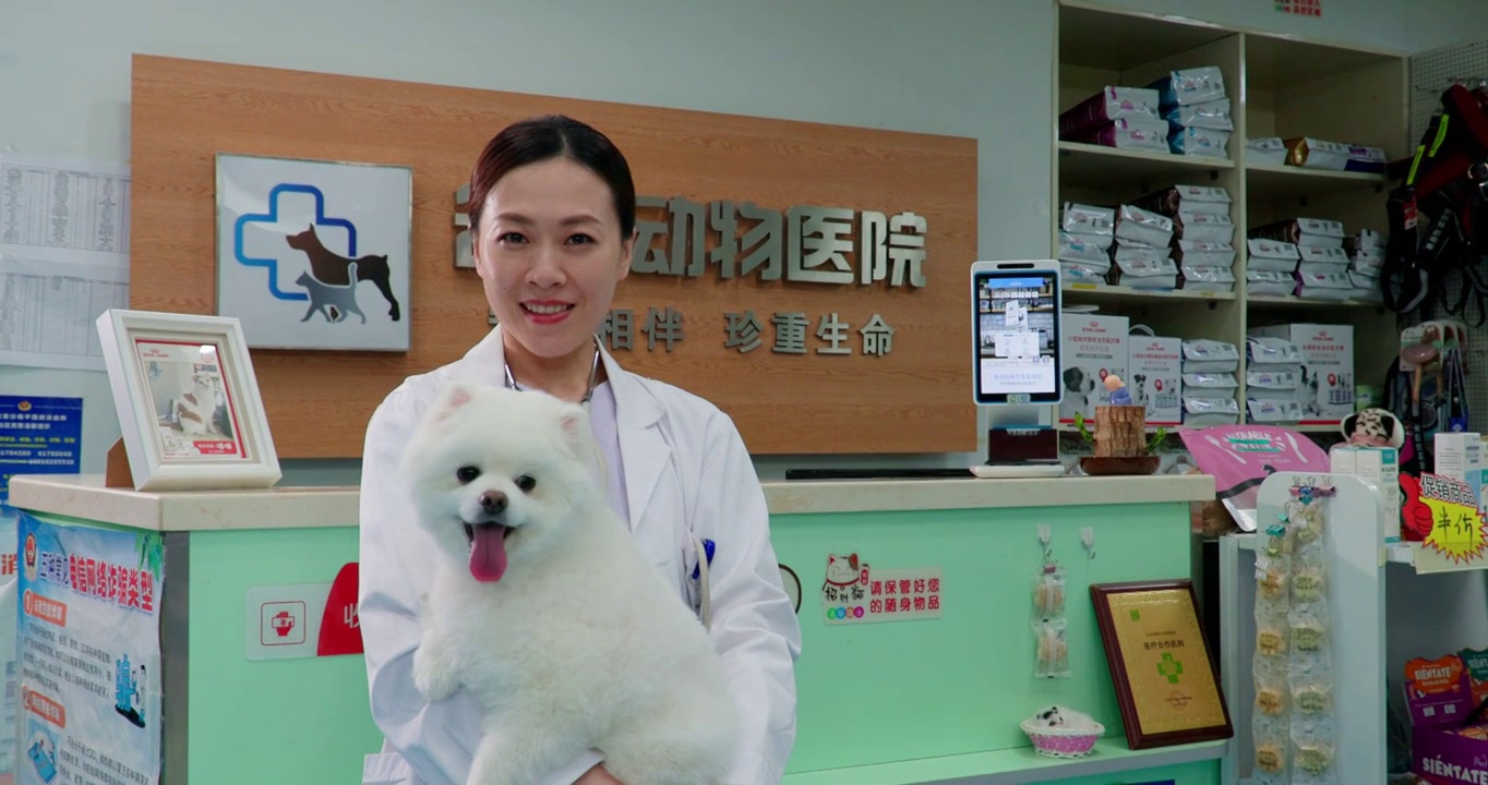 宠物医生抱着小狗视频下载