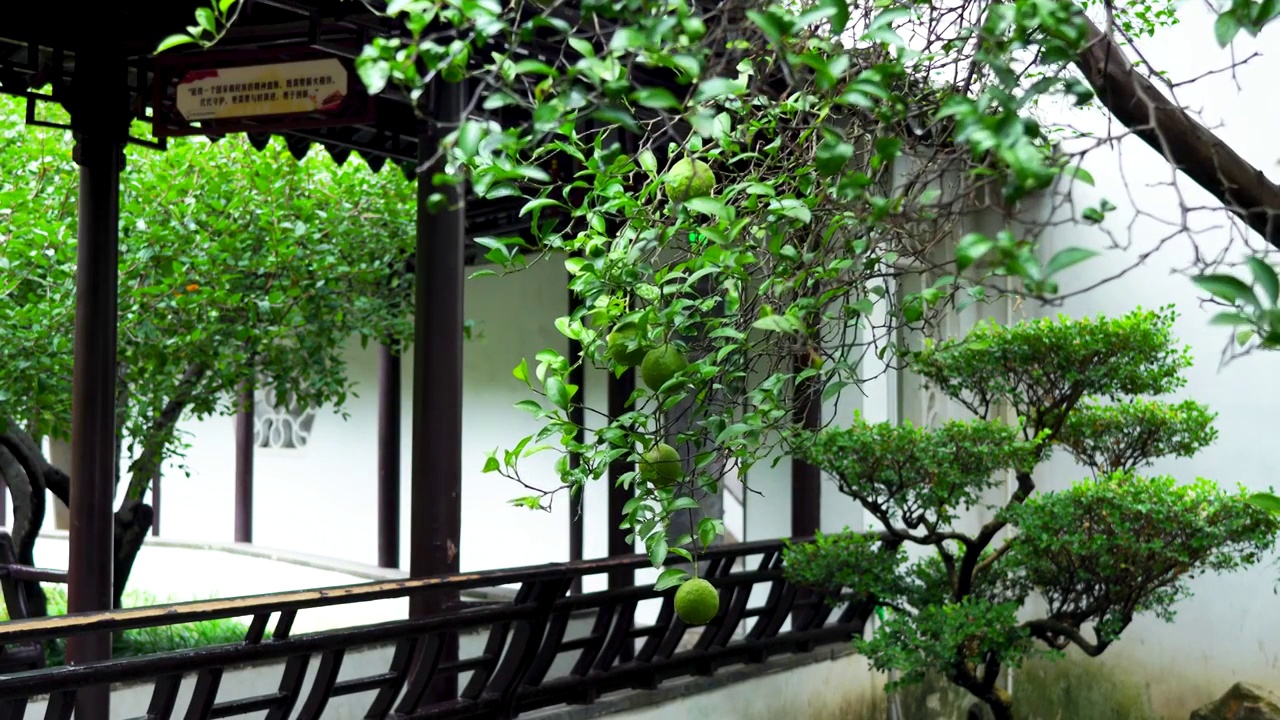 中国明代古典园林、“江南四大名园”之一，南京瞻园中式园林庭院的风光视频素材