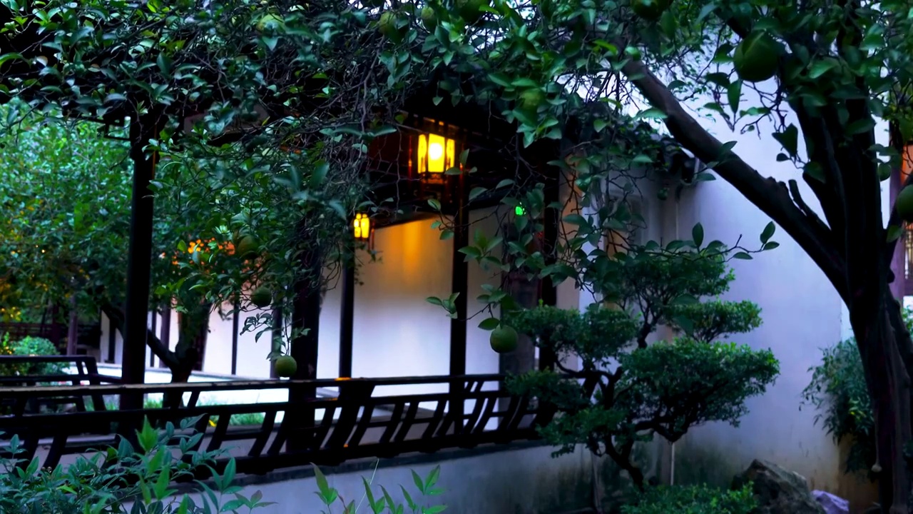 中国明代古典园林、“江南四大名园”之一，南京瞻园传统园林中式庭院的夜景风光视频下载