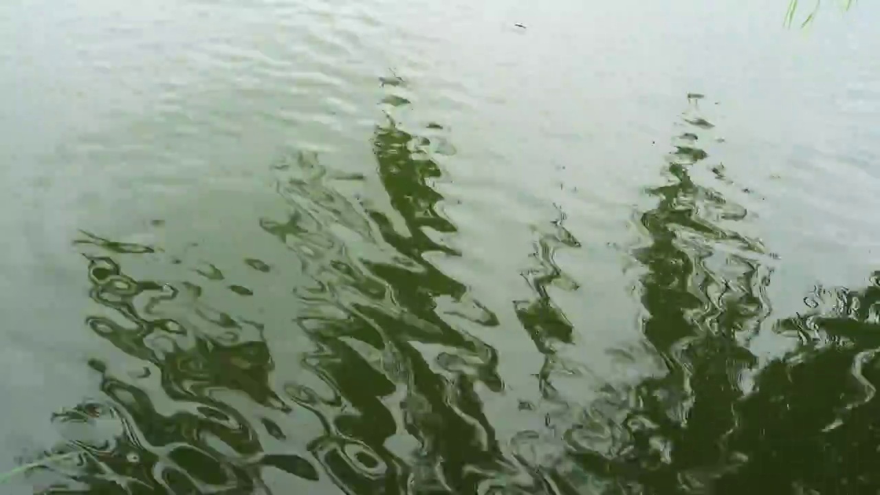 北京公园湖水中倒映的垂柳视频下载