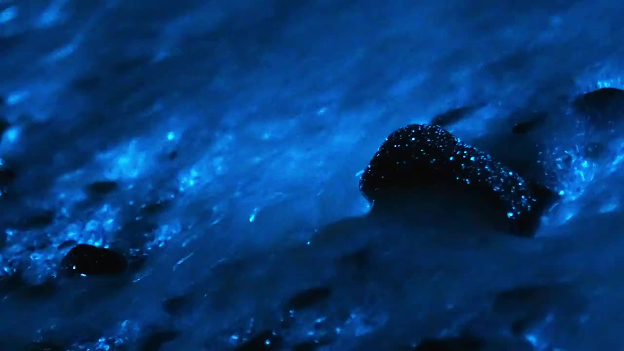 夜晚海边蓝色的海藻被海浪拍打出幽蓝色的光视频购买