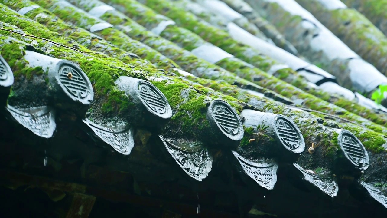 小雨中的中式园林古建筑屋檐窗格雨滴雨丝视频素材