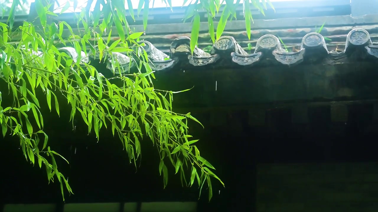 小雨中的中式园林古建筑屋檐窗格雨滴雨丝视频下载