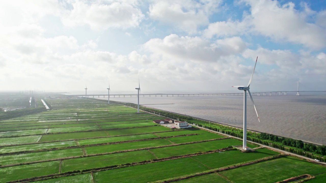 中国上海长兴岛海边稻田风车视频下载