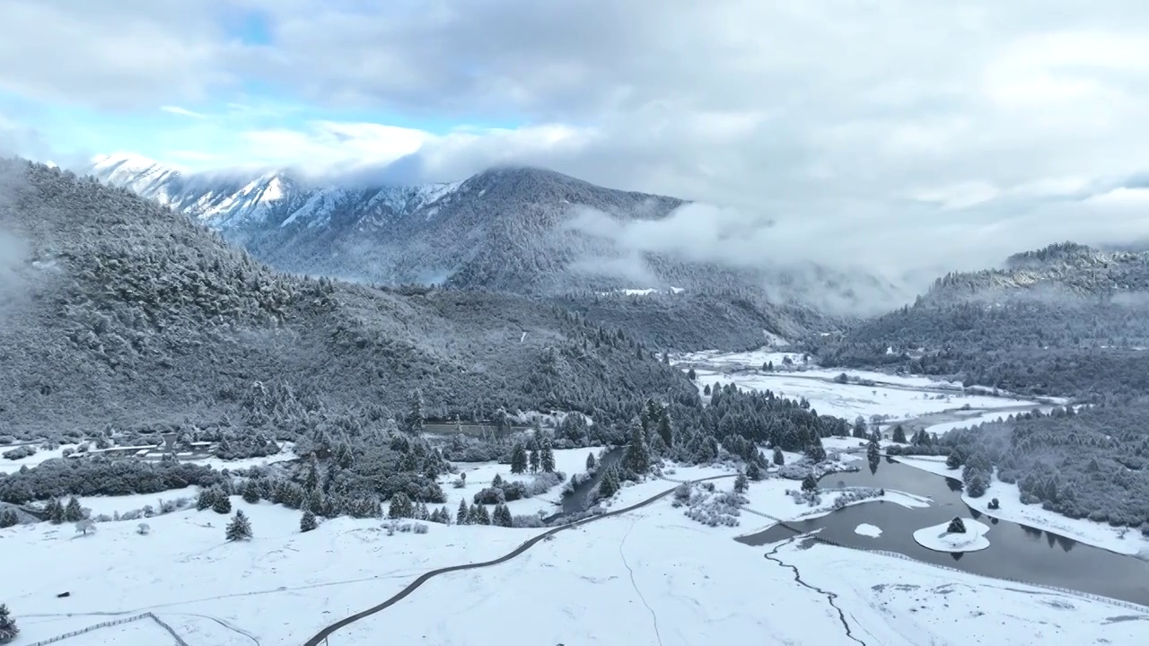 西藏林芝波密县鲁朗林海雪原航拍冬天森林雪景风光合集视频下载