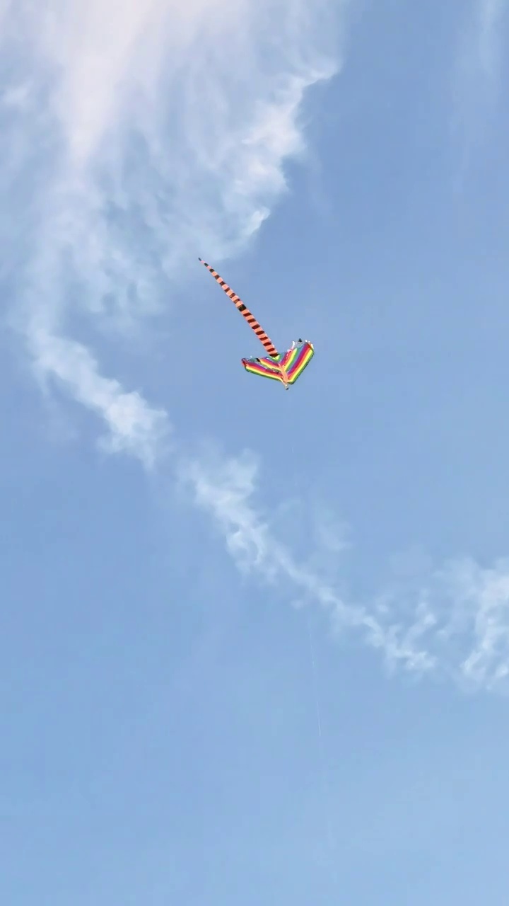 一个放飞的风筝视频下载