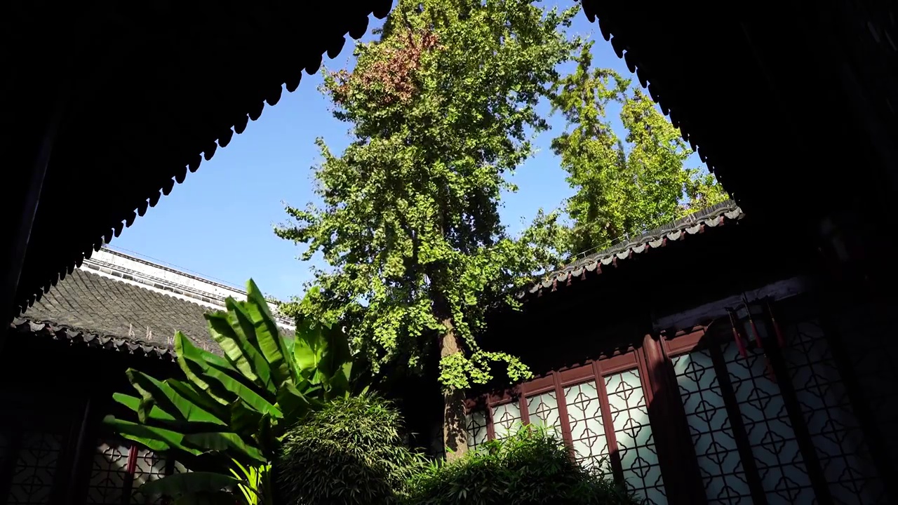 中国明代古典园林、“江南四大名园”之一，南京瞻园庭院里的天井和芭蕉树视频下载