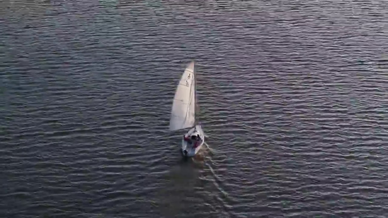 上海浦东新区滴水湖上的帆船视频下载