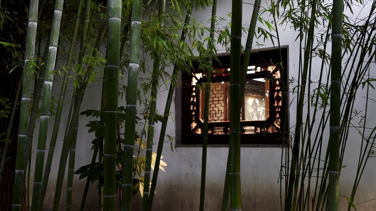 中国明代古典园林、“江南四大名园”之一，南京瞻园中式园林庭院里的竹林和古风窗户视频素材