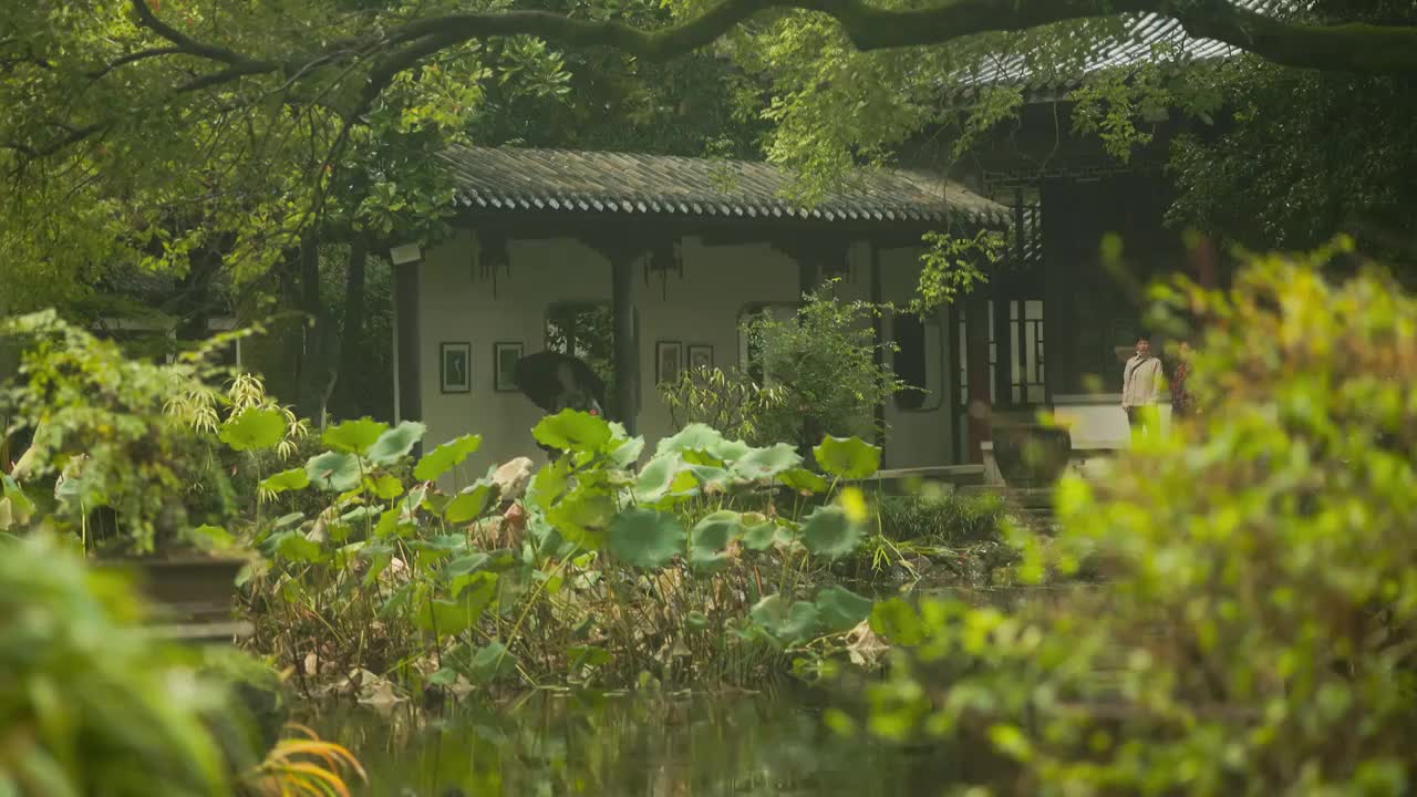 江南园林景观结构雨中的韵味美感8视频素材