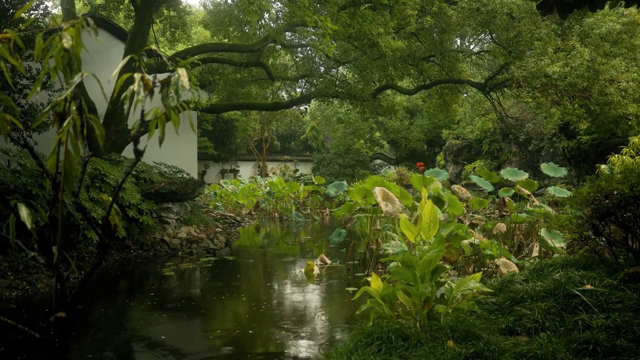 江南园林景观结构雨中的韵味美感3视频素材