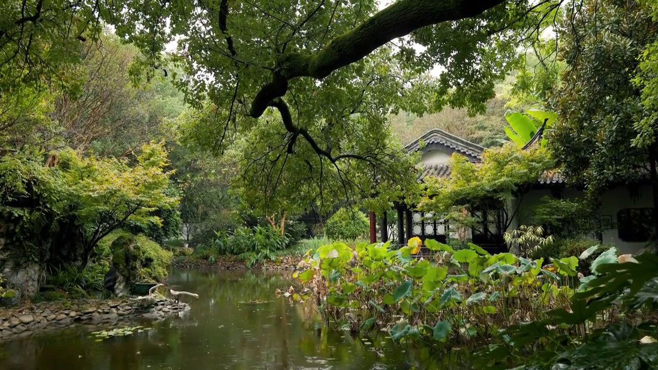 江南园林景观结构雨中的韵味美感1视频素材