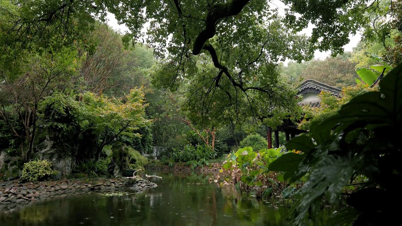 江南园林景观结构雨中的韵味美感视频素材
