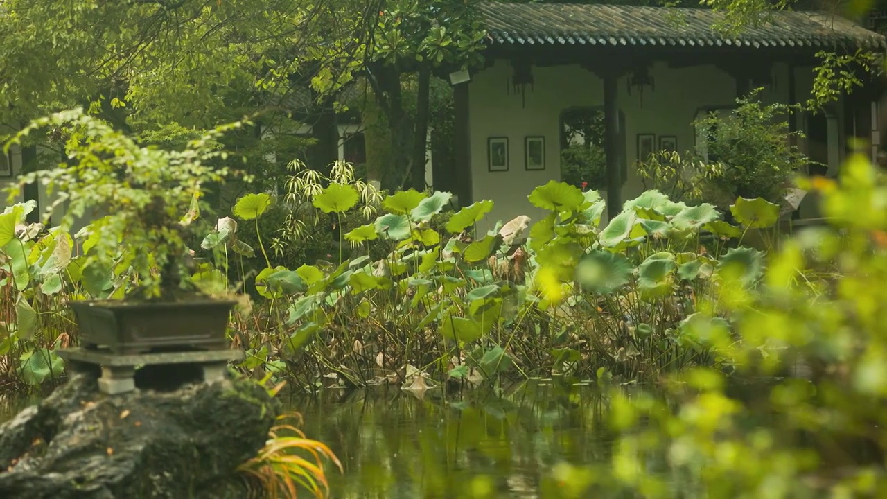 江南园林景观结构雨中的韵味美感6视频素材