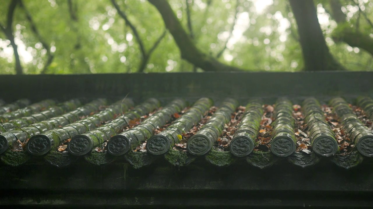 入秋后的下雨天树林覆盖的江南园林建筑的屋顶上已满是枯黄的落叶视频素材
