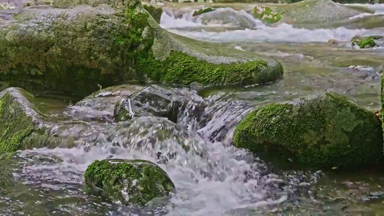 森林山谷中的小溪视频素材