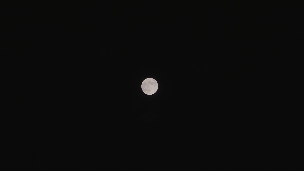 明亮的月亮视频下载