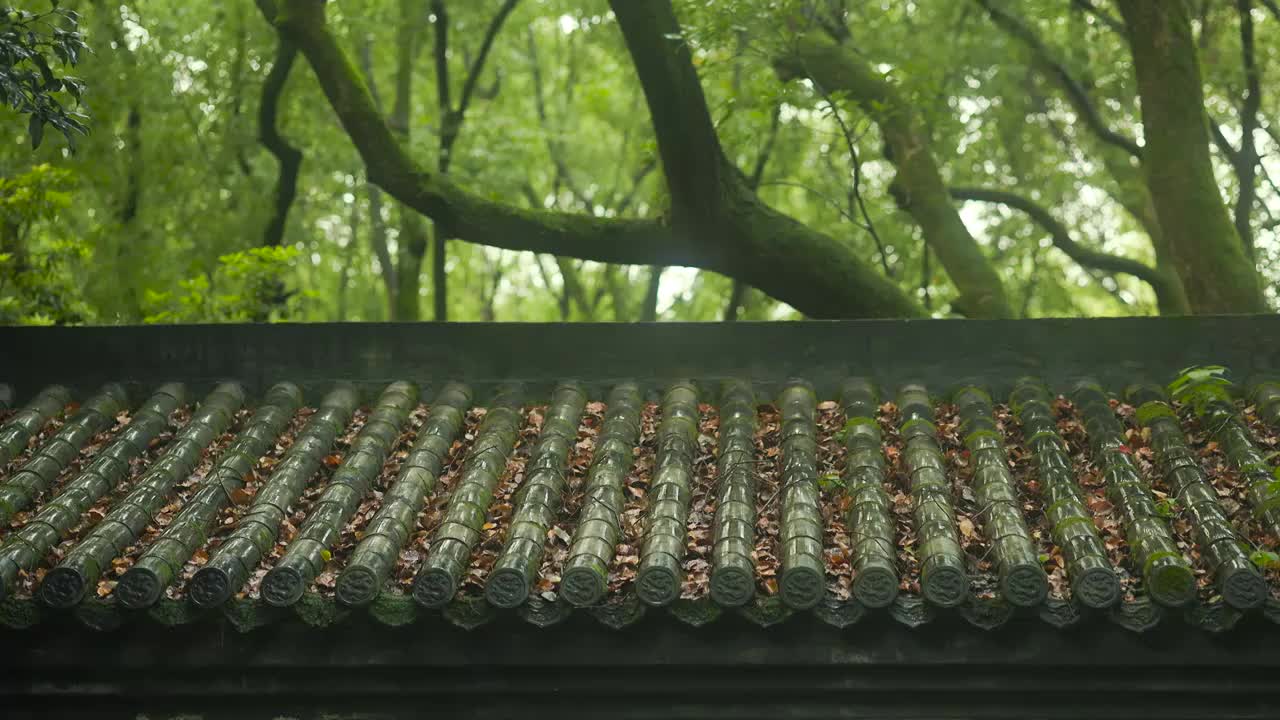 秋日的雨天落满枯叶的古建筑屋顶视频素材
