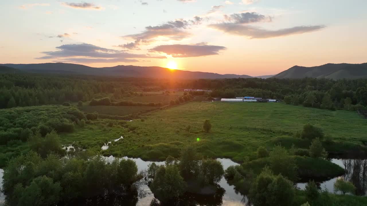 航拍夕阳照耀的森林湿地视频素材