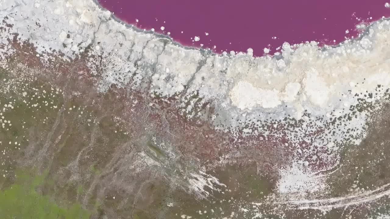 航拍西藏羊湖之心白昼风光视频下载