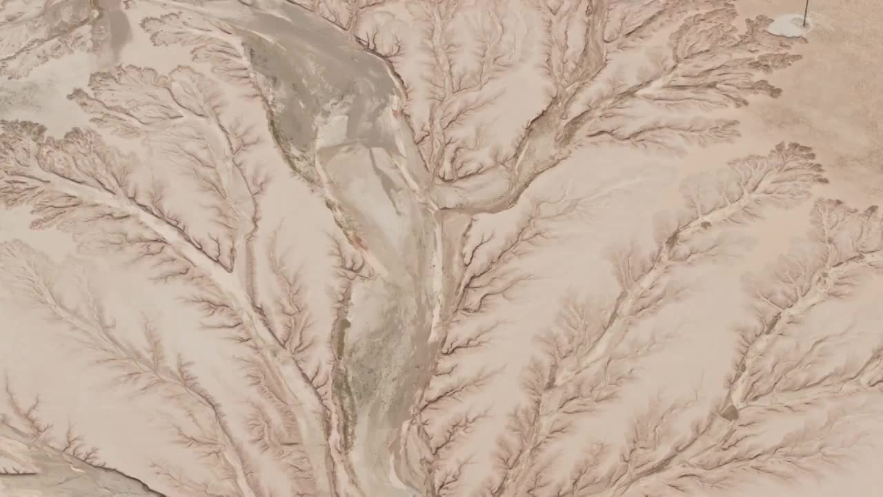 航拍西藏216国道大地之树白昼风光视频素材