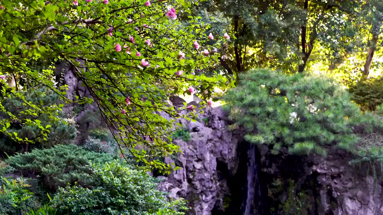 中国明代古典园林、“江南四大名园”之一，南京瞻园庭院里的瀑布视频下载