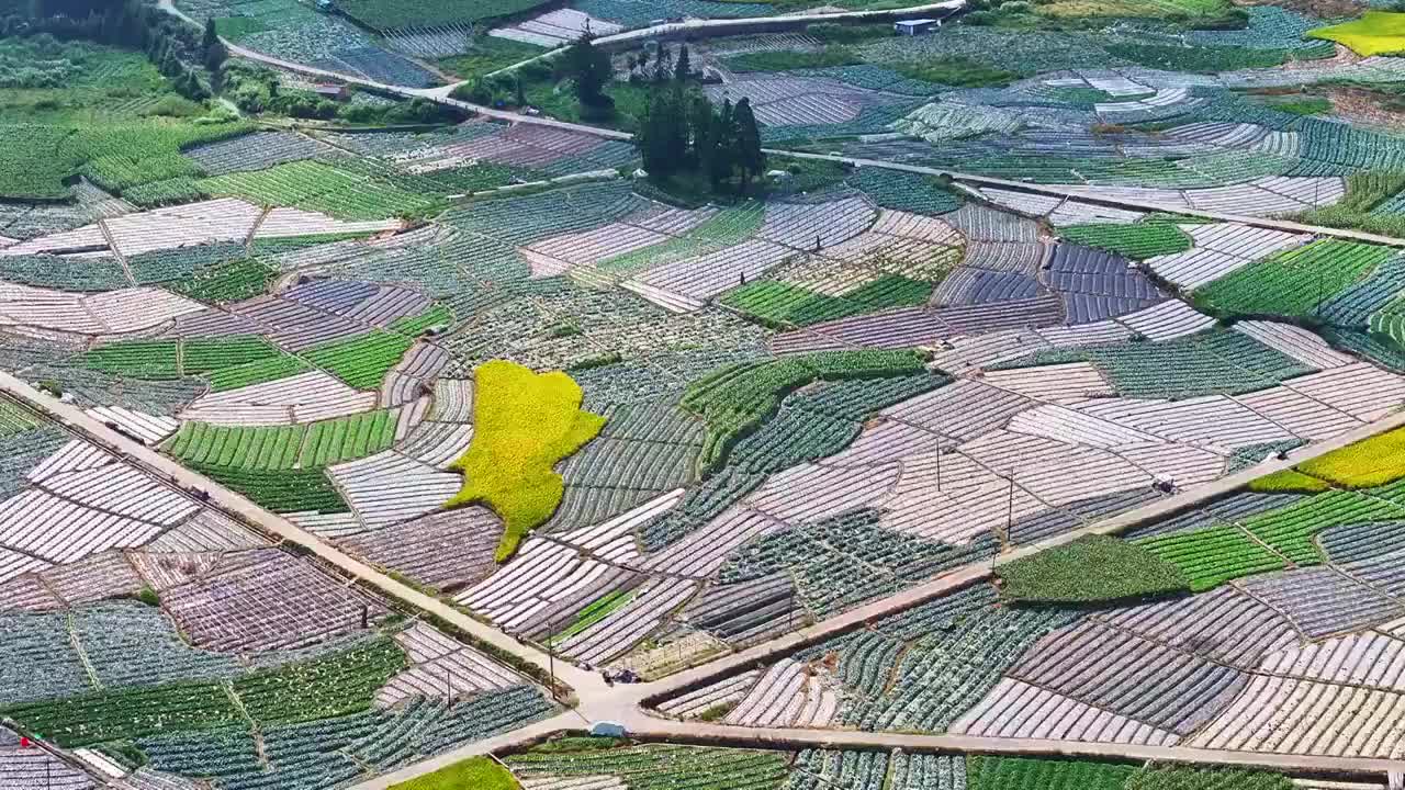 福州现代农业基地视频素材