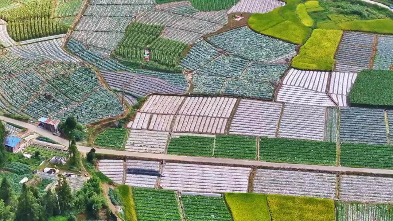 福州现代农业基地视频下载