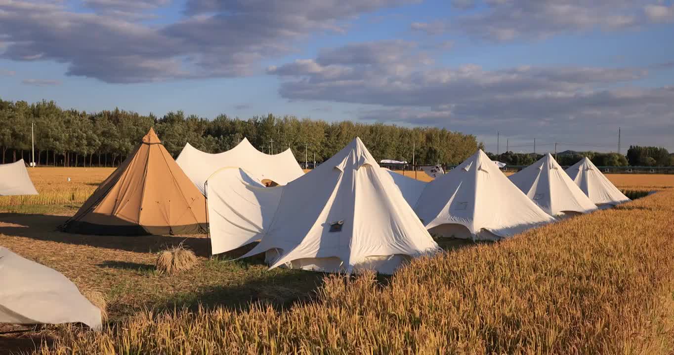 秋天稻田里露营的帐篷视频下载