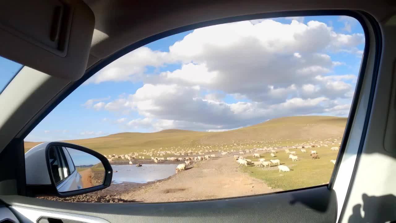 内蒙古呼伦贝尔大草原秋天自然风景视频下载