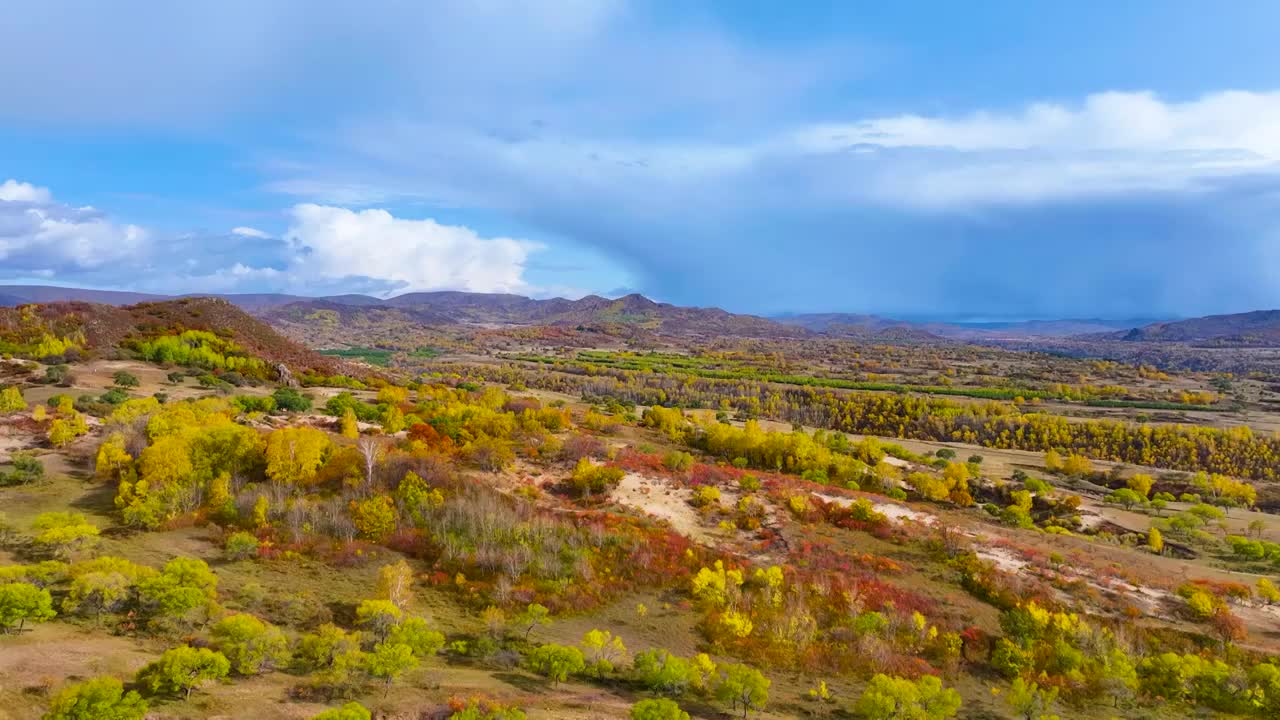航拍秋天的内蒙克什克腾旗乌兰布统世界地质公园五彩风光（无人4K航拍）视频素材