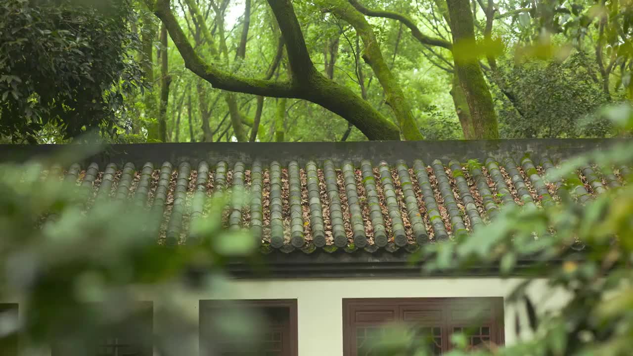 森林中落满枯叶的园林建筑屋顶视频素材