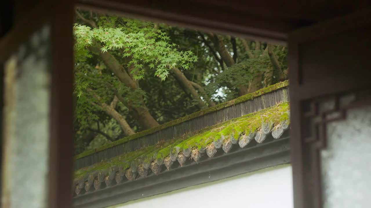 透过窗台观赏森林中园林古建筑视频素材