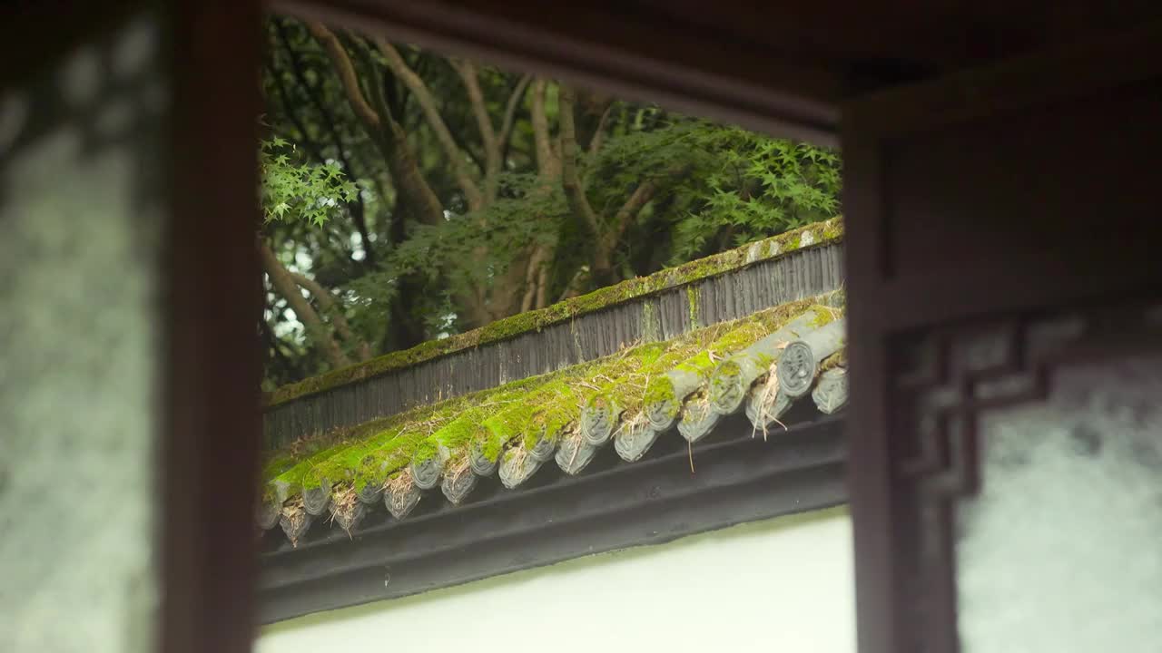 透过窗台展示森林中园林古建筑的美感视频素材