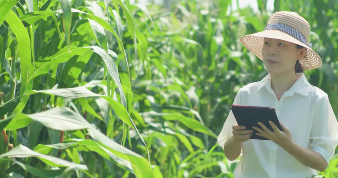 女农民农田中拿着平板电脑视频下载