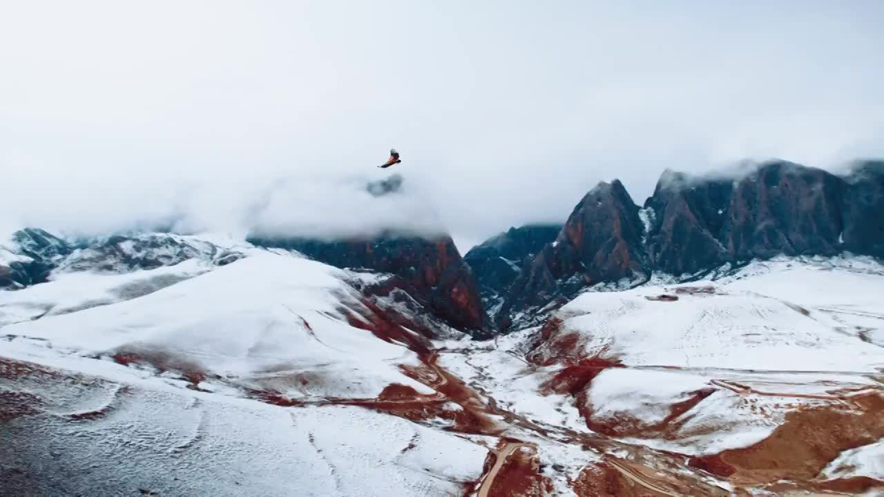 航拍雪中的甘南甘加秘境白石崖视频下载