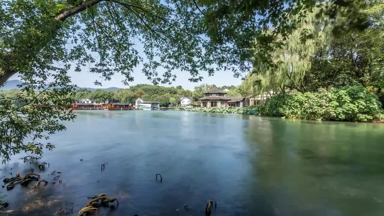 杭州西湖 茅家埠 树林光影 夏季风光 延时视频素材