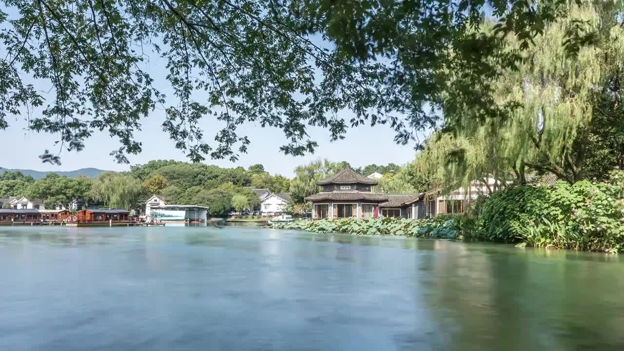 杭州西湖 茅家埠 树林光影 夏季风光 延时视频素材