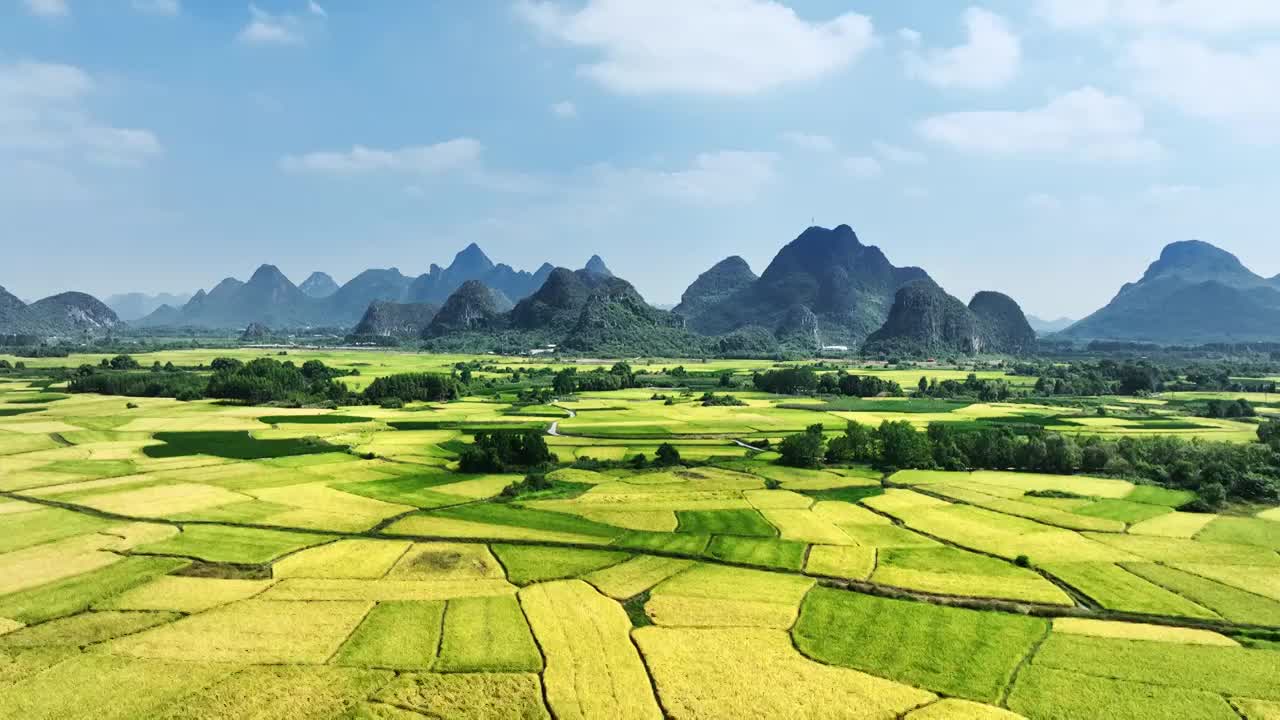 航拍秋天阳光下桂林山边河流两旁金色的稻田视频下载