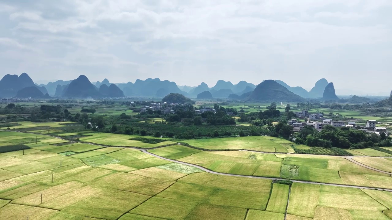 秋天阳光下航拍桂林乡村的山和大片金黄色的稻田视频素材