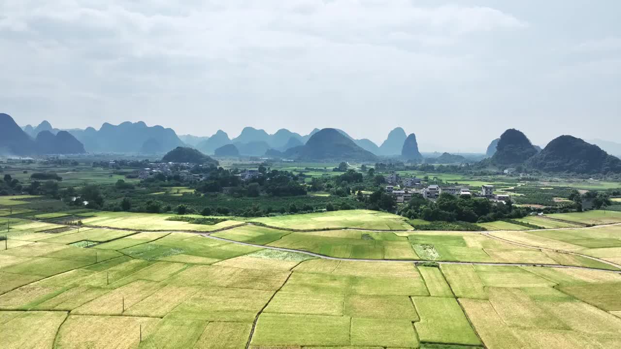 秋天阳光下航拍桂林乡村的山和大片金黄色的稻田视频素材