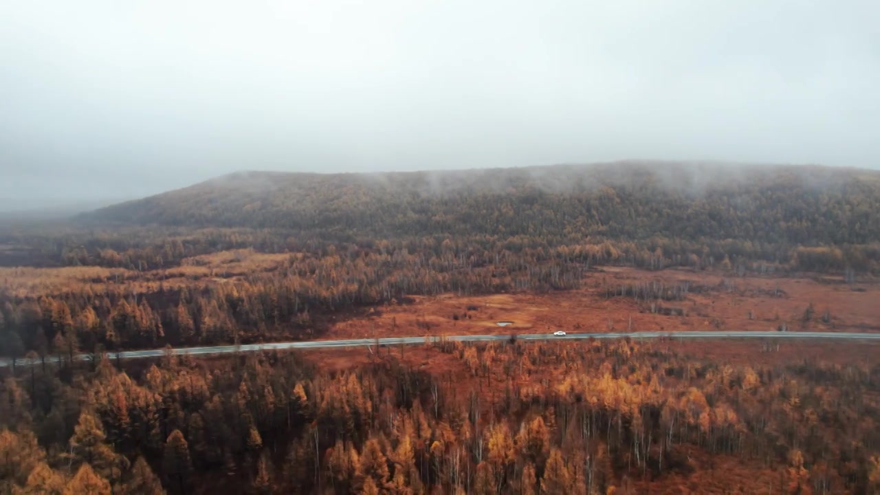 内蒙古呼伦贝尔大兴安岭林区秋天自然风景航拍视频素材